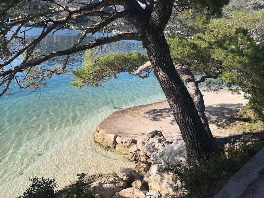 Studio Apartman Karlita Slano Εξωτερικό φωτογραφία